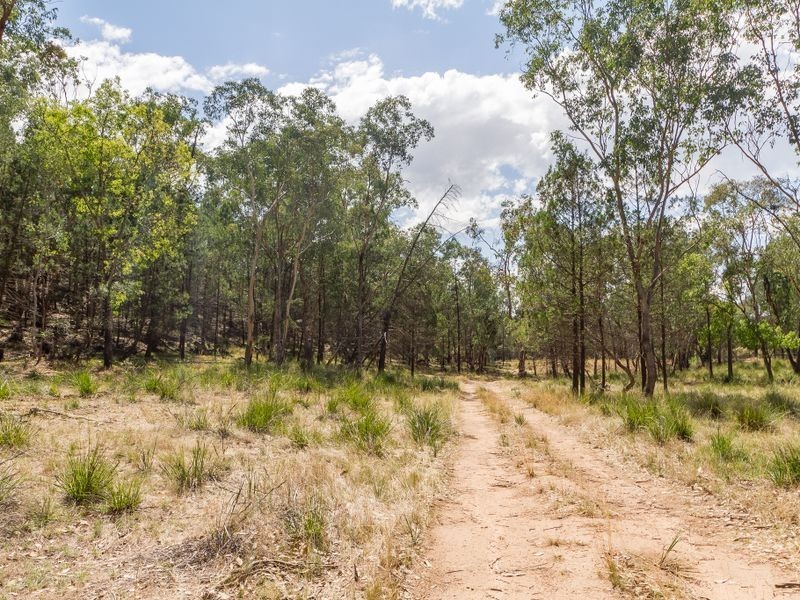 1030 Barryrenie Road, Cowra NSW 2794