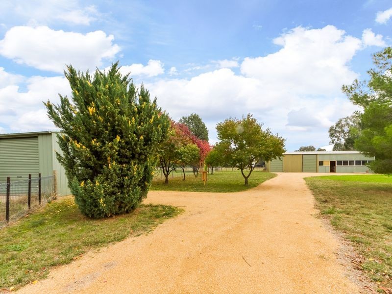 25 Porters Mount Road, Cowra NSW 2794