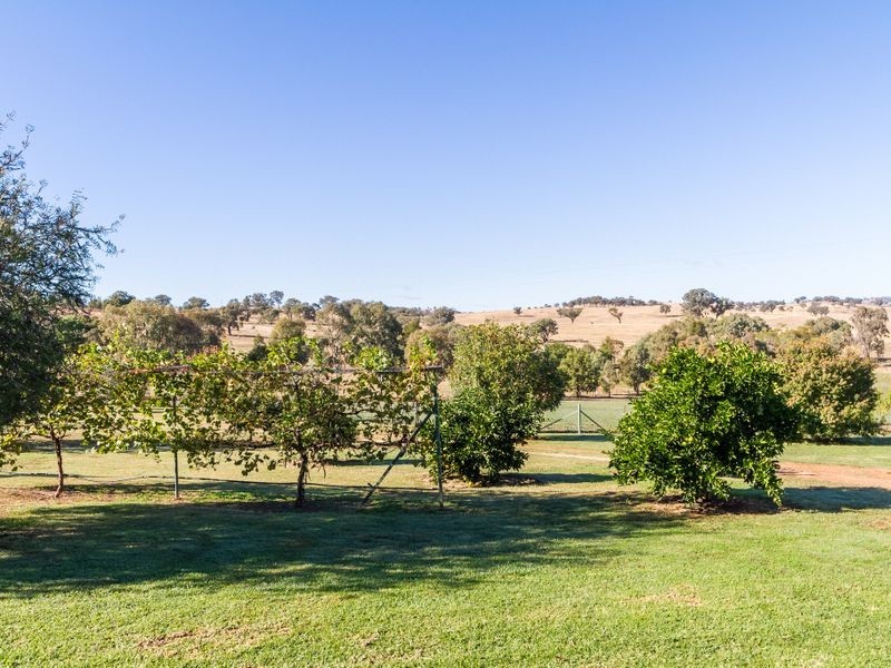 2290 George Russell Drive, Canowindra NSW 2804