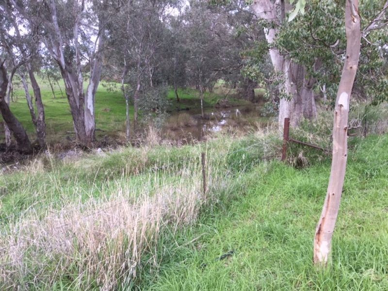 6128 Lachlan Valley Way (MORONGLA), Cowra NSW 2794