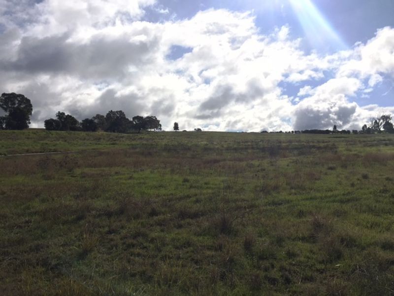 NEW LAND Melaleuca Circuit, Cowra NSW 2794
