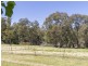 60 Clearview Road (Darbys Falls), Cowra NSW 2794