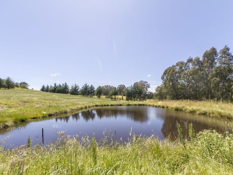 60 Clearview Road (Darbys Falls), Cowra NSW 2794