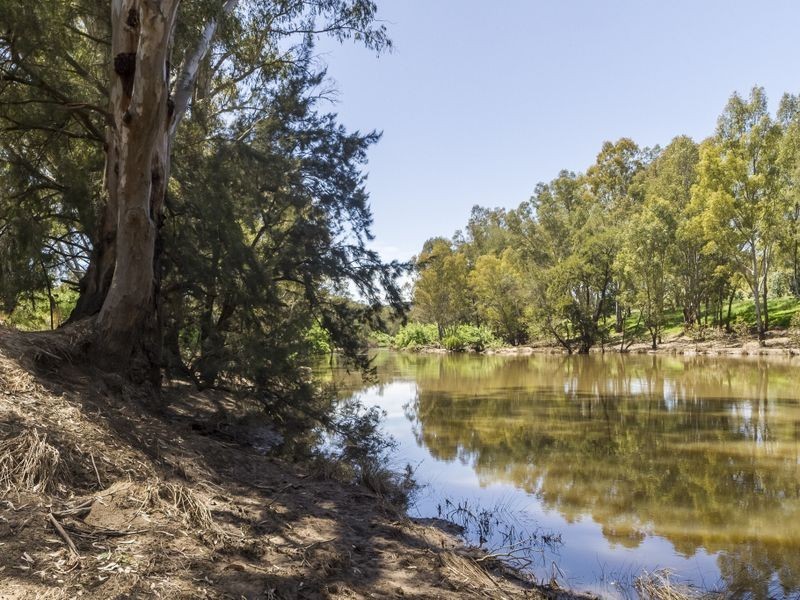 60 Clearview Road (Darbys Falls), Cowra NSW 2794