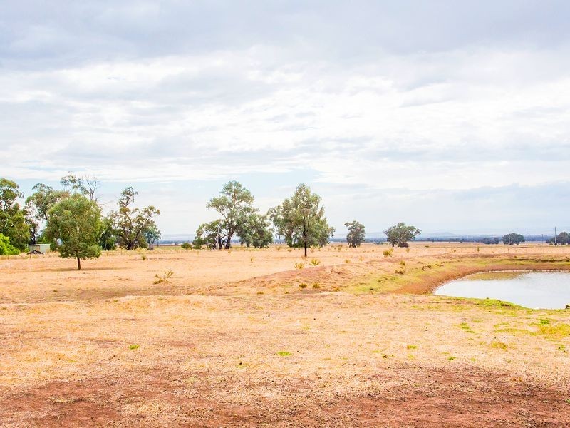 54 Tallarook Road, Cowra NSW 2794