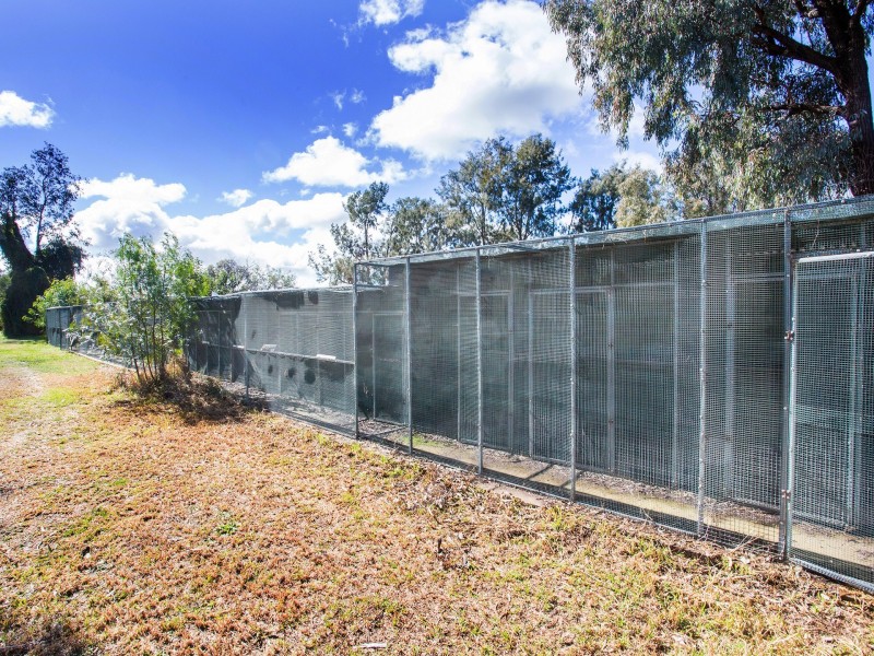 66 Lyall Street, Cowra NSW 2794