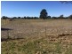Lots 273 & Noonbinna Road (Noonbinna), Cowra NSW 2794