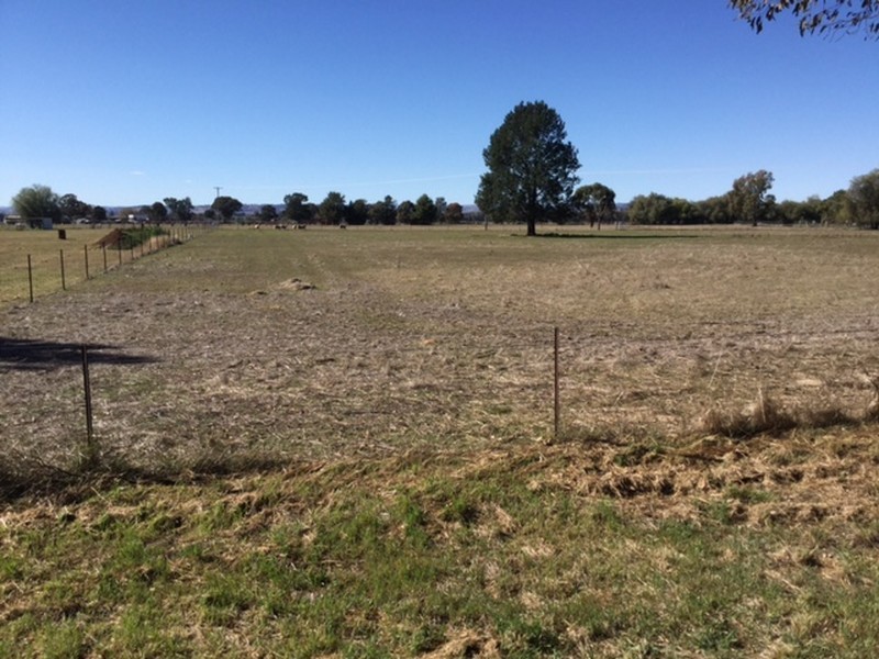 Lots 273 & Noonbinna Road (Noonbinna), Cowra NSW 2794