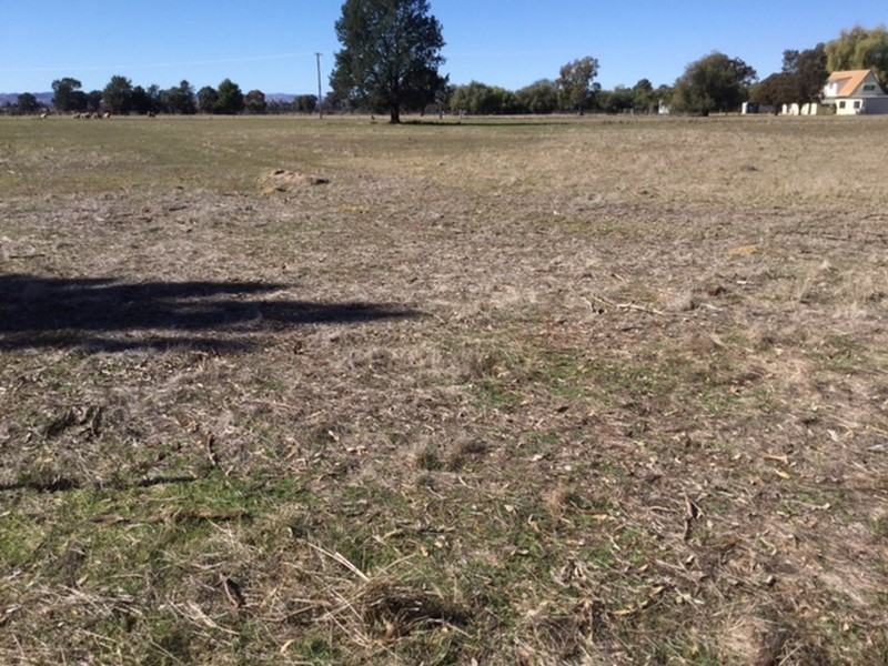 Lots 273 & Noonbinna Road (Noonbinna), Cowra NSW 2794