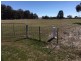 Lots 273 & Noonbinna Road (Noonbinna), Cowra NSW 2794
