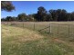 Lots 273 & Noonbinna Road (Noonbinna), Cowra NSW 2794