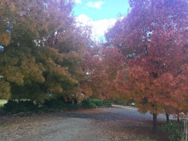 Cowra NSW 2794