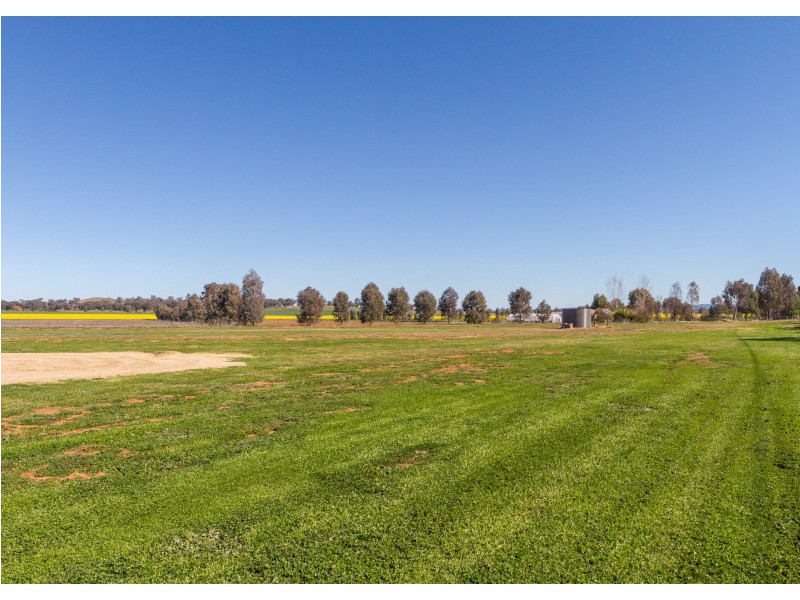 10221 Mid Western Highway, Cowra NSW 2794