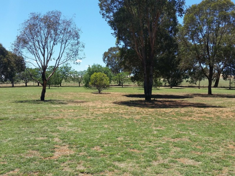 207 Porters Mount Road, Cowra NSW 2794