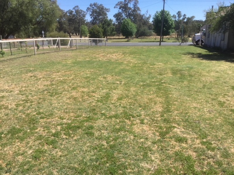 42 Main Street (GOOLOOGONG), Cowra NSW 2794