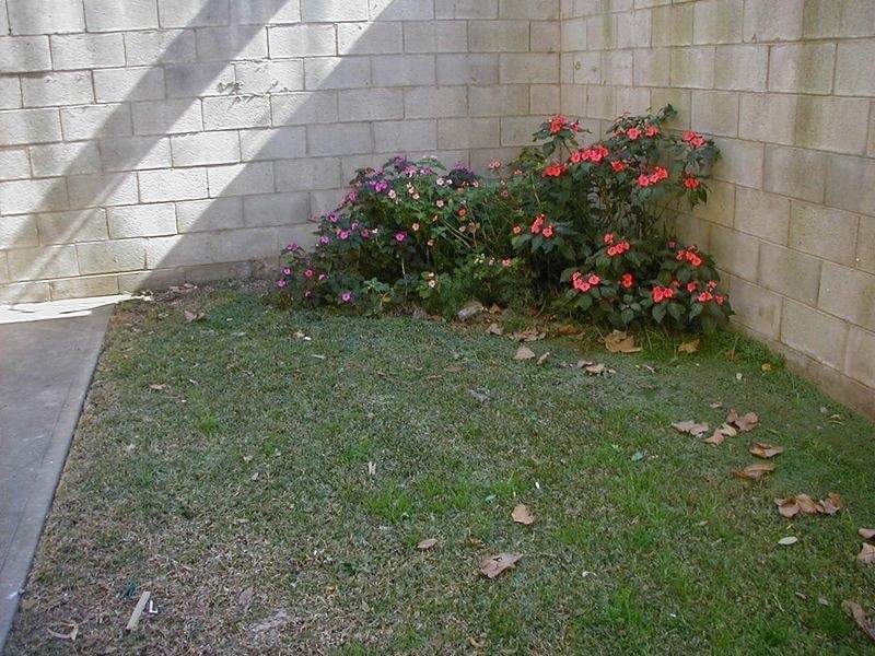3/53 WYANBAH ROAD, Cronulla NSW 2230