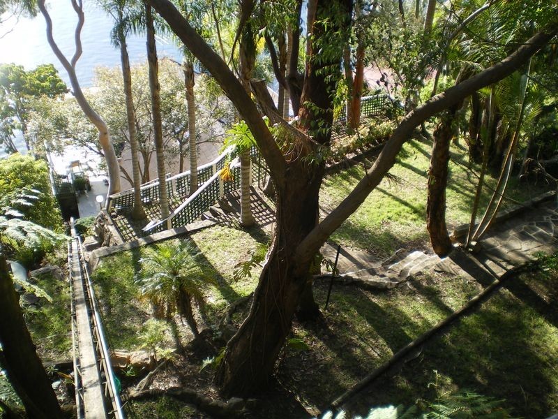 485 WILLARONG ROAD, Caringbah NSW 2229