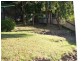 5 Aminya Place, Farmborough Heights NSW 2526