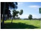 4d Shellharbour Road, Lake Illawarra NSW 2528