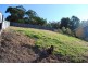 18 Sugarwood Place, Farmborough Heights NSW 2526