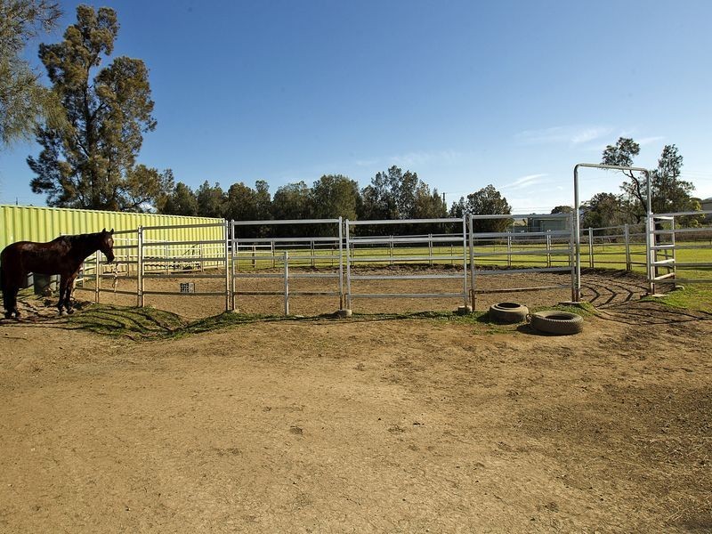 24 Spoonbill Place, Albion Park Rail NSW 2527