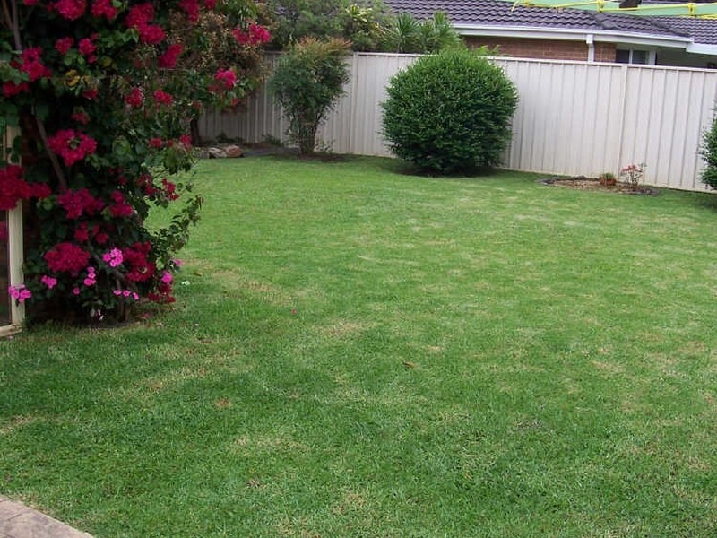 31 Shearwater Boulevarde, Albion Park Rail NSW 2527