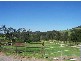Green Mountain Road, Yellow Rock NSW 2527
