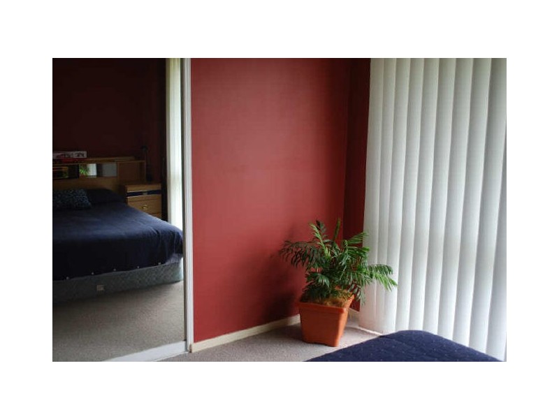 22 Badgery Street, Albion Park NSW 2527