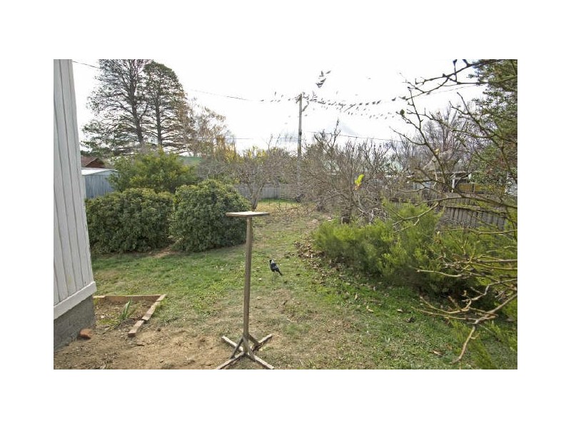 7 McColl Street, Ainslie ACT 2602