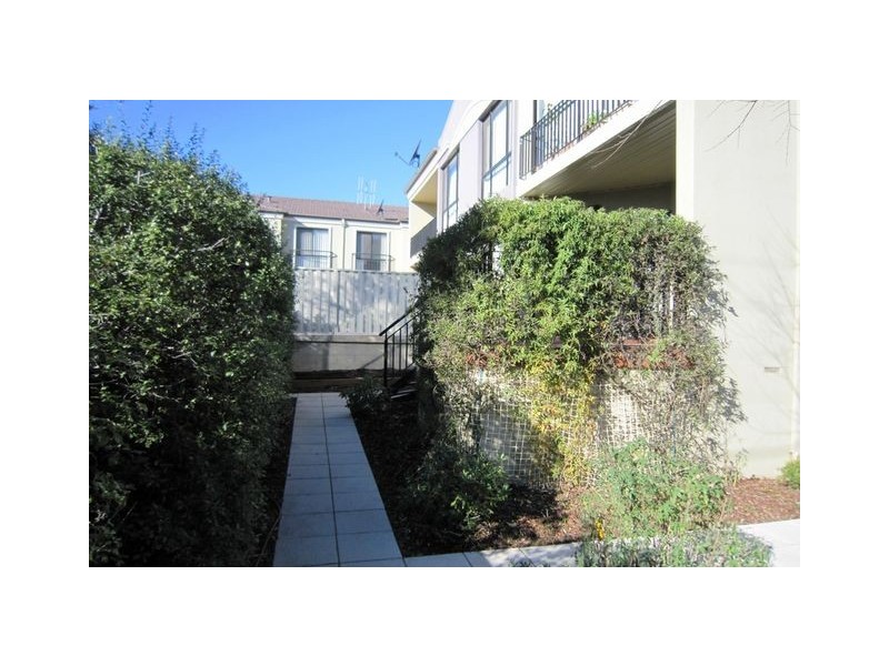 13/5 Wise Street, Braddon ACT 2612