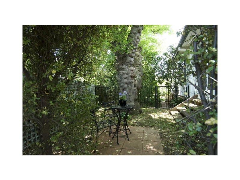 16 McColl Street, Ainslie ACT 2602