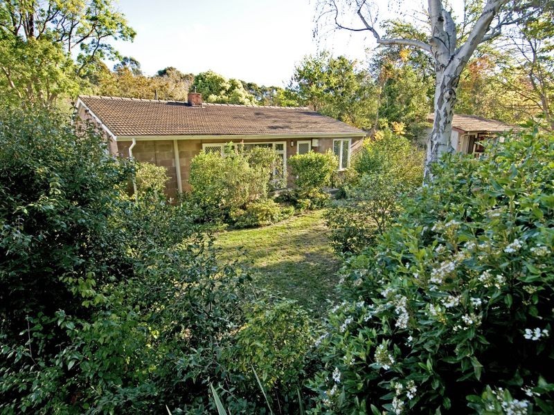 37 Booroondara Street, Reid ACT 2612