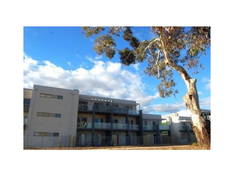8/75 Elizabeth Jolly Crescent, Franklin ACT 2913