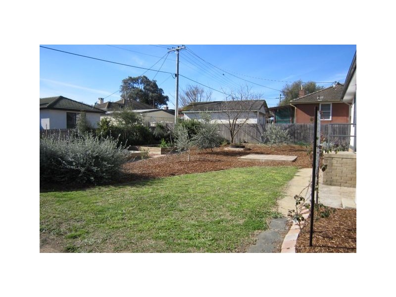 17 Piper Street, Ainslie ACT 2602