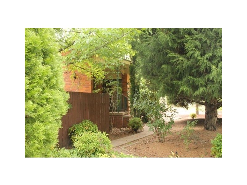 102 Cowper Street, Dickson ACT 2602