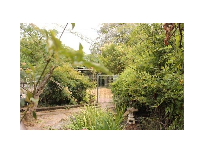 102 Cowper Street, Dickson ACT 2602