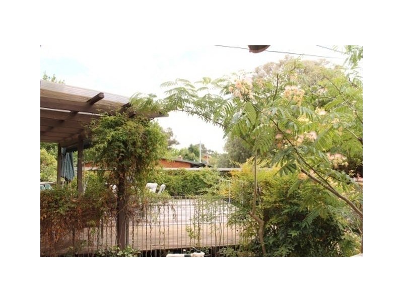 102 Cowper Street, Dickson ACT 2602