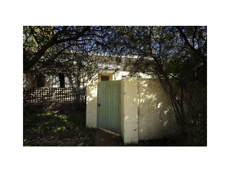 91 Cowper Street, Dickson ACT 2602