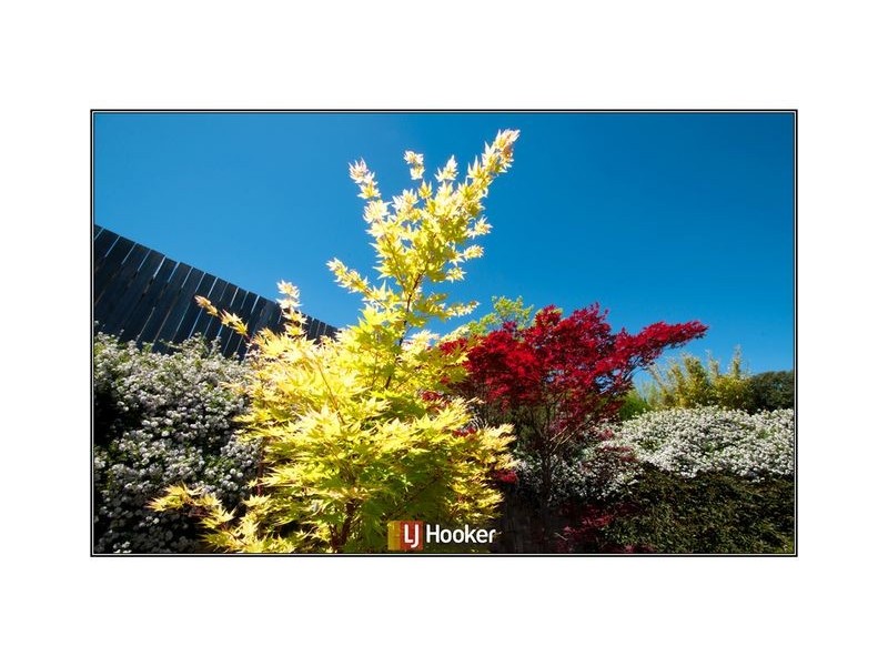 53 Temperley Street, Nicholls ACT 2913