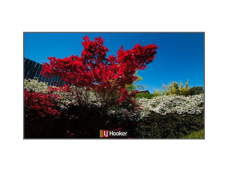 53 Temperley Street, Nicholls ACT 2913