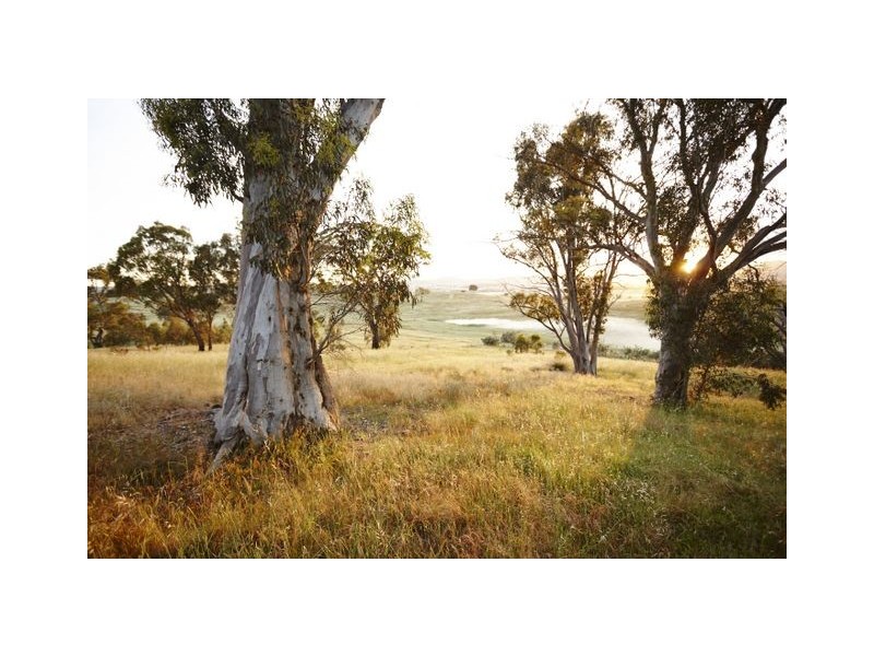 12 Indi Close, Crace ACT 2911
