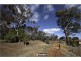 4 Fisher Street, Ainslie ACT 2602