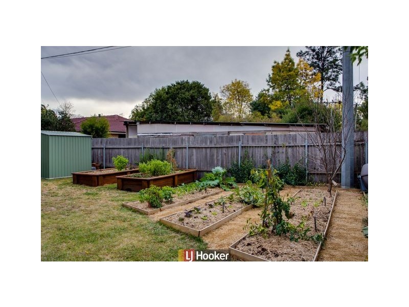 31 Officer Crescent, Ainslie ACT 2602