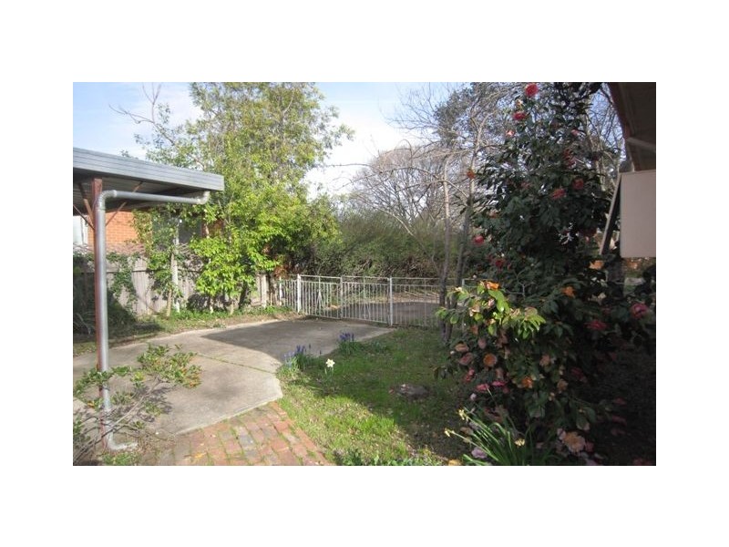 37 Tyson Street, Ainslie ACT 2602