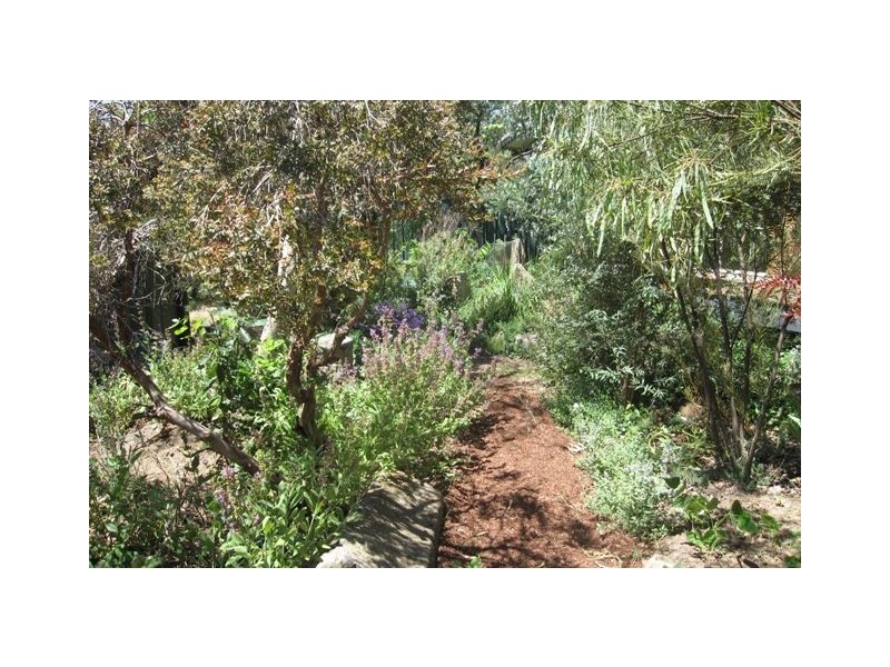 93 Sherbrooke Street, Ainslie ACT 2602