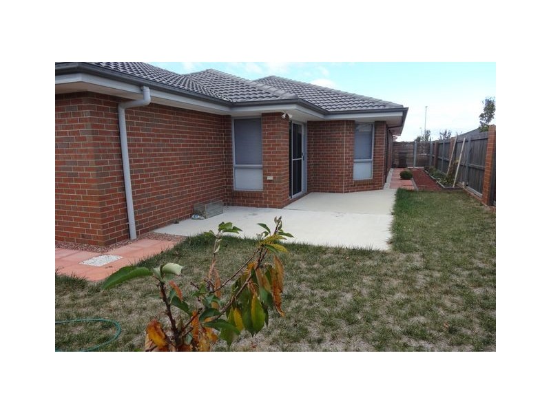 11 Kylie Tennant Street, Franklin ACT 2913