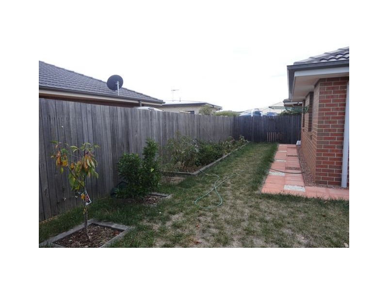 11 Kylie Tennant Street, Franklin ACT 2913
