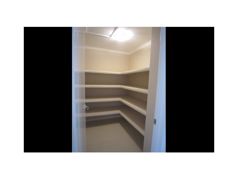 119 Christina Stead Street, Franklin ACT 2913