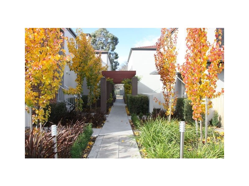 11/13 Majura Avenue, Dickson ACT 2602