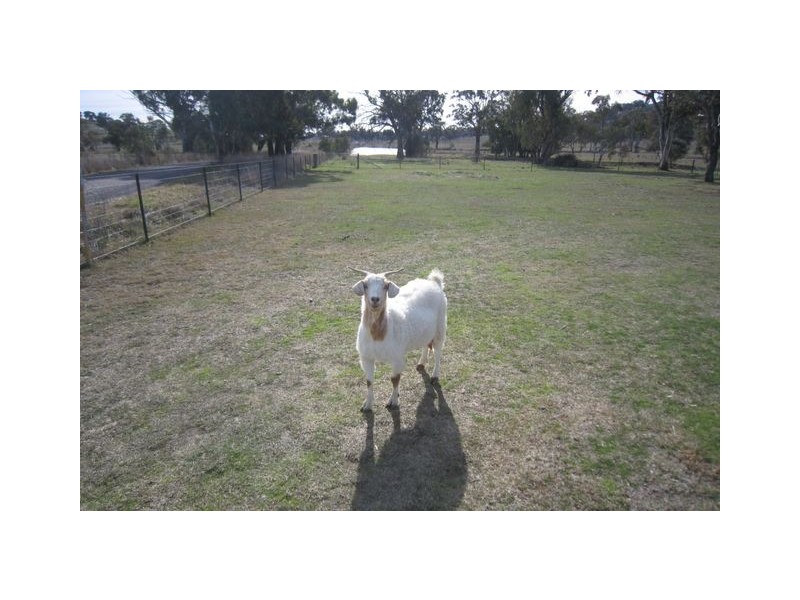 . Kaveneys Road, Hall ACT 2618